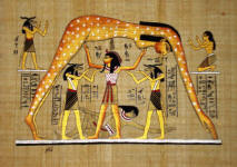 Papyrus Painting Celestial goddess Nut Valut of the heavens