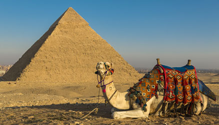 Camel Ride Giza Pyramid